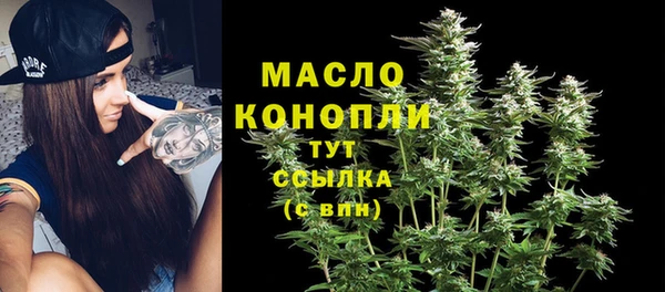 соль ск Богданович