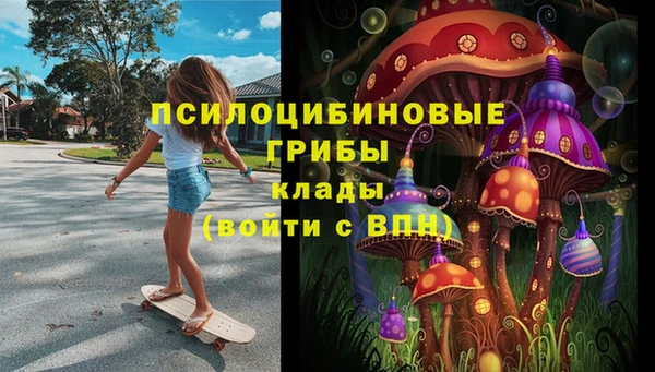 соль ск Богданович